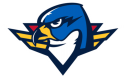 Springfield Thunderbirds