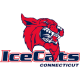 Connecticut Ice Cats 14U AA