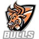 Wooster Bulls