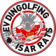 EV Dingolfing