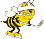Toledo Hornets