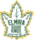 Elmira Sugar Kings