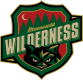 Minnesota Wilderness