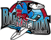 Jacksonville Barracudas