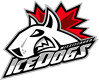 Mississauga IceDogs