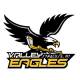 Syracuse Valley Eagles 18U AA
