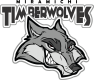 Miramichi Timberwolves