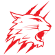 Swindon Wildcats