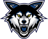 Watertown Wolves