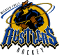 Wichita Falls Rustlers