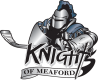 Meaford Knights