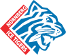 Nürnberg Ice Tigers