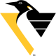 Pittsburgh Penguins