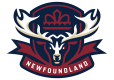 Newfoundland Regiment