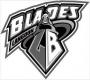 Langdon Blades 14U B