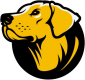 MN Bird Dogs 18U AA