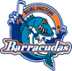 Burlington Barracudas
