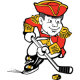 Minuteman Flames 15U AA 2