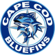 Cape Cod Bluefins