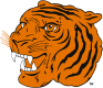 Hamilton Tigers