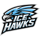 Hoffman Ice Hawks 14U A1