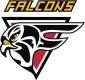 HS Falcons