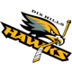 Dix Hills Hawks 14U A