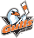 San Diego Gulls