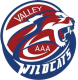 Valley Wildcats U16 AAA