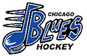 Chicago Blues 13U AA