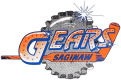 Saginaw Gears