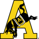 Army (U.S. Military Academy)