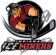 Indiana Ice Miners