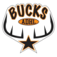 Scottsdale Bucks 16U A