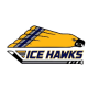 KPHA Ice Hawks 16U AA