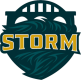 Bridge City Storm