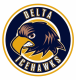 Delta Ice Hawks