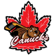 Niagara Falls Canucks U15 AA