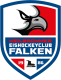 Heilbronner Falken