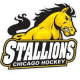 Chicago Stallions 14U A1