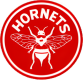 Pittsburgh Hornets