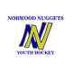 Norwood Nuggets 14U A