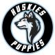 Bristol Huskies Puppies