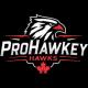 Pro Hawkey Hawks U15