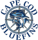 Cape Cod Bluefins