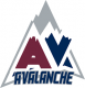 Aliso Viejo Avalanche 14U AA