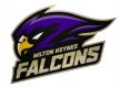 Milton Keynes Falcons