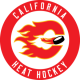 California Heat 14U AA 1