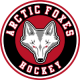 Pittsburgh Arctic Foxes 14U A 2