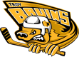 Troy Bruins